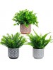 Artificial Plants